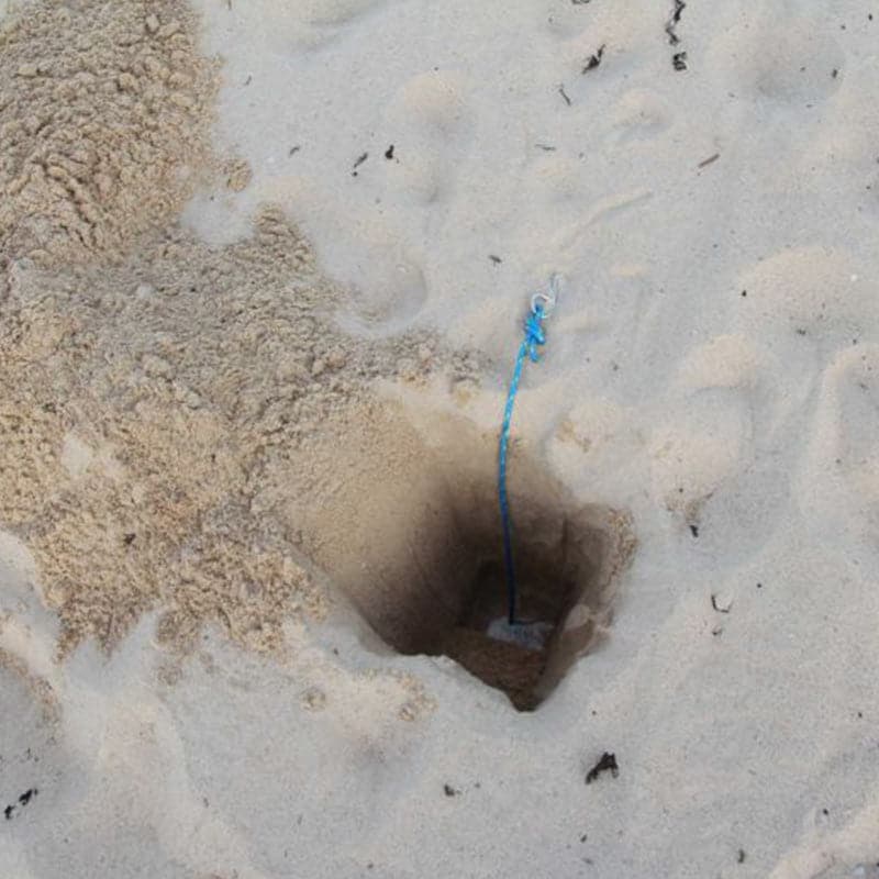 Net Sand Anchors
