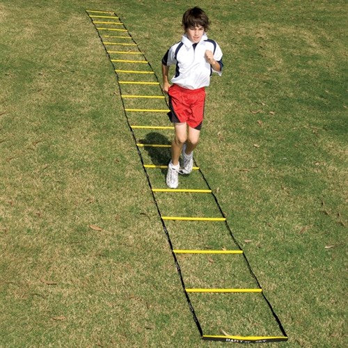 HART Agility Ladders 4m - 10 Rungs