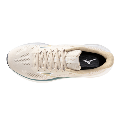 Mizuno Wave Inspire 22 Mens