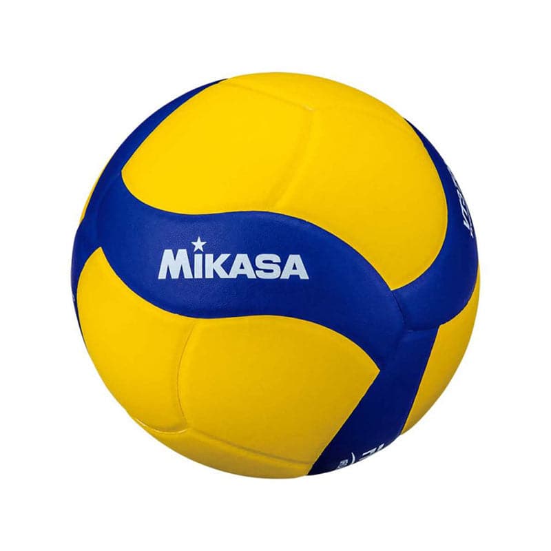 Mikasa VT370W - Heavy Training Ball (370g)