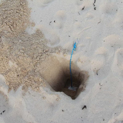 Net Sand Anchors